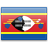 Swaziland (Eswatini)  application form for Switzerland residents.