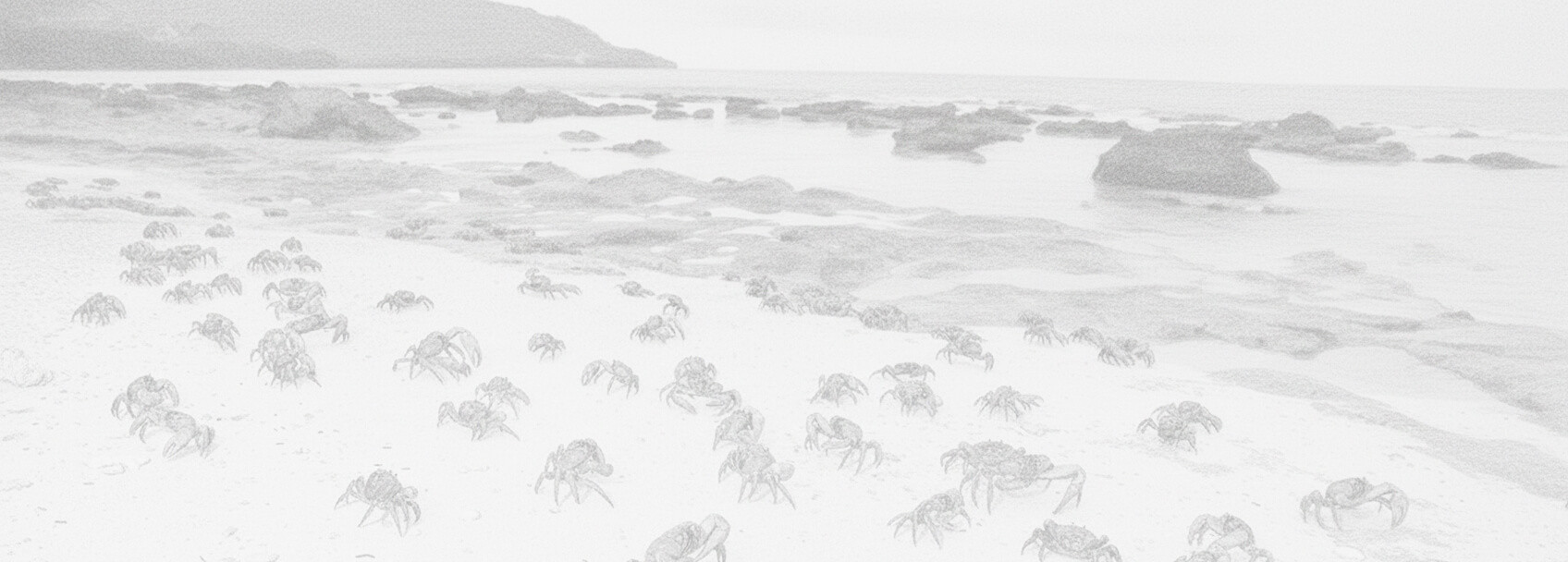 Christmas Island visa application and requirements